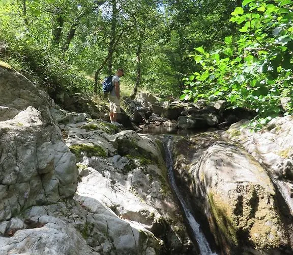 Campsite Le Pre Coulet 2*